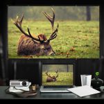 Portable-HD-Projector-Screen-Projection-Screen